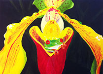 Frosch in Orchidee