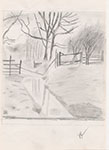 Baum am Fluss 2 (Bleistift)