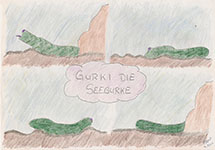 Gurki die Seegurke