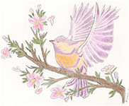 vogel